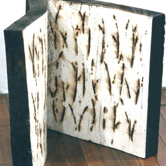 Madera impresa con fuego y Caseina 49x40x47 cm